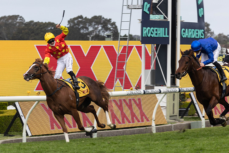 IN THE CONGO winning the XXXX Golden Rose