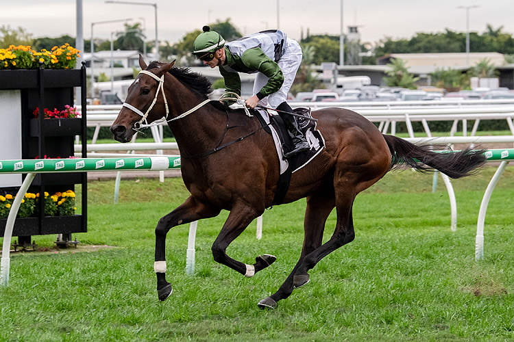 INCENTIVISE winning the Tattersall's Cup