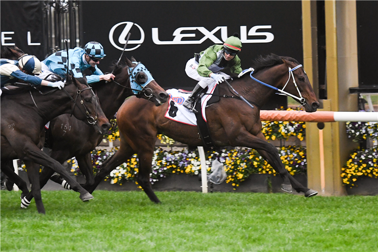 INCENTIVISE winning the Makybe Diva Stakes at Flemington in Australia.