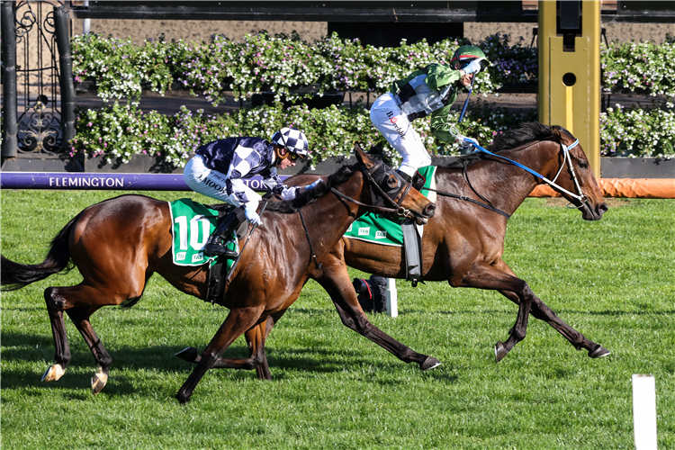 INCENTIVISE winning the Turnbull Stakes at Flemington in Australia.