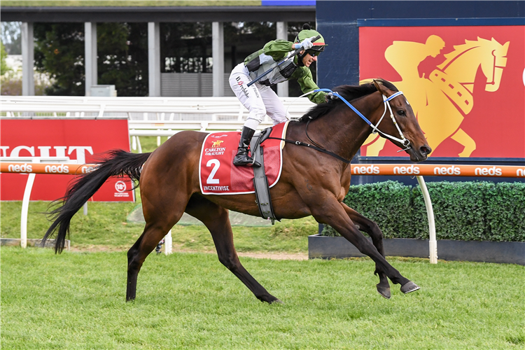 INCENTIVISE winning the Caulfield Cup at Caulfield in Australia.