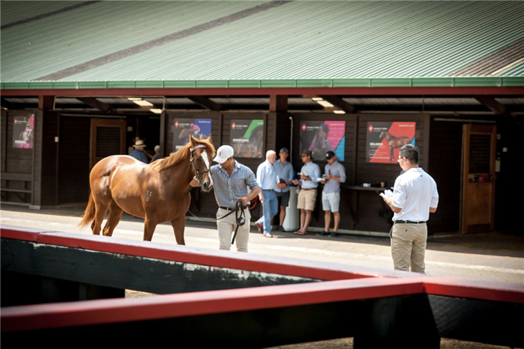 Inspections at Karaka.