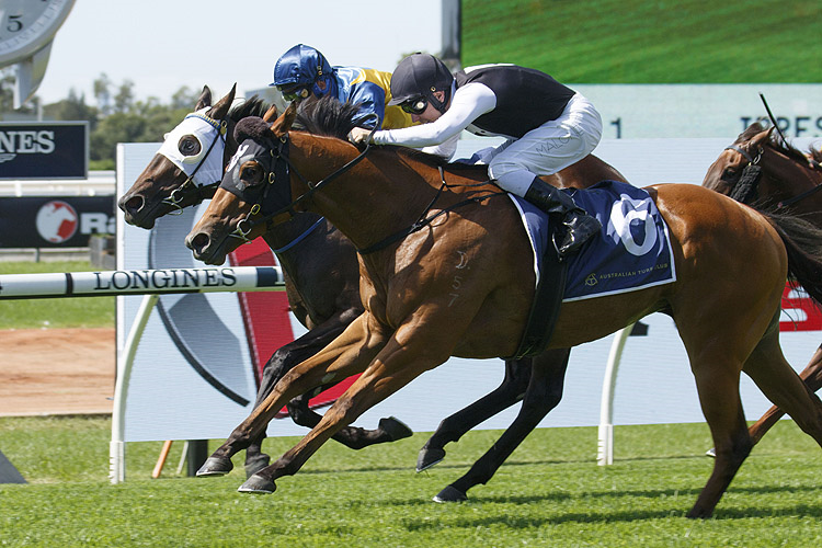 ISOTOPE winning the Irresistible Pools Darby Munro