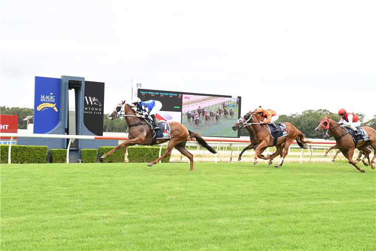 ITZ LILY winning the Sky Racing Summer Series Final at Wyong in Australia.