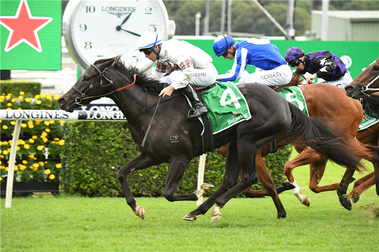 JAMAEA winning the Heineken Percy Sykes Stakes at Randwick in Australia.