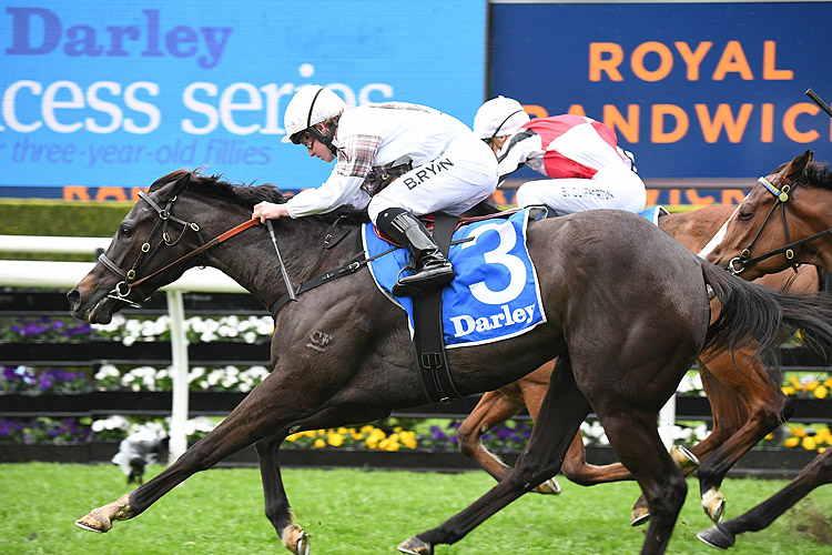 JAMAEA winning the Darley Furious Stakes