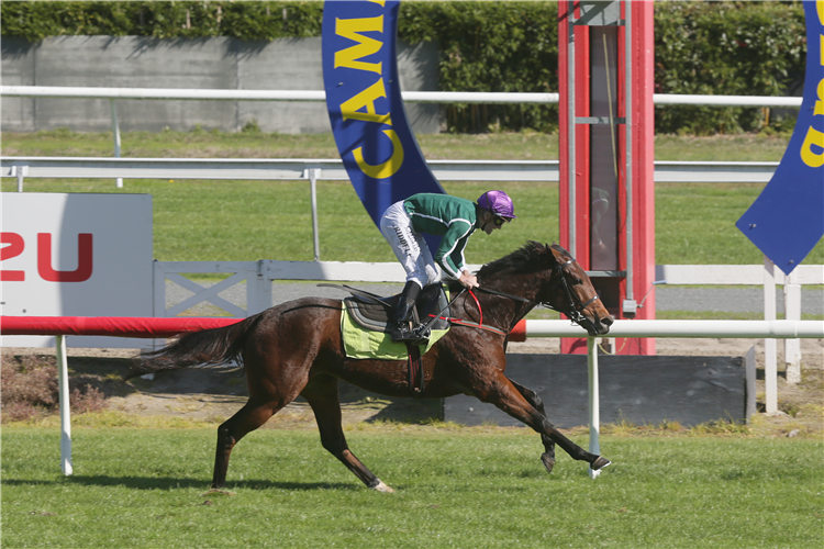 Jennifer Eccles is cruising at the end of her exhibition gallop at Te Rapa