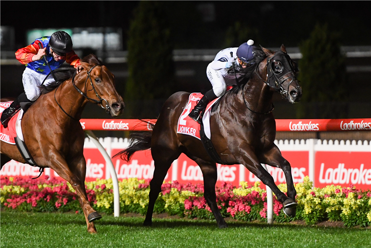 JONKER winning the Ladbrokes Manikato Stakes.