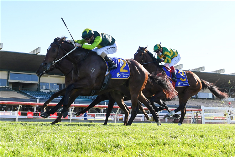 JUNGLE MAGNATE winning the Clanbrooke Racing Hcp