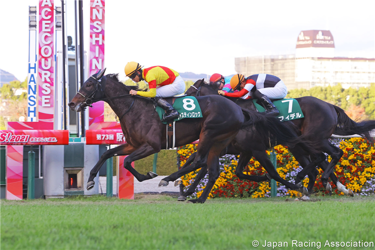 JUSTIN ROCK winning the Kyoto Nisai Stakes at Hanshin in Japan.