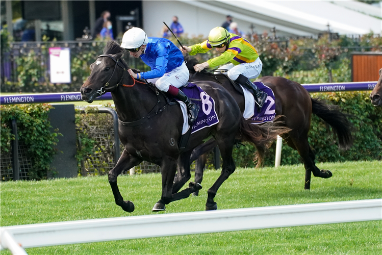 KALLOS winning the Danehill Stakes at Flemington in Australia.