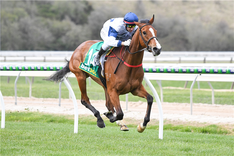 KAPALUA SUNSET winning the bet365 Odds Drift Protector Maiden Plate in Kyneton, Australia.