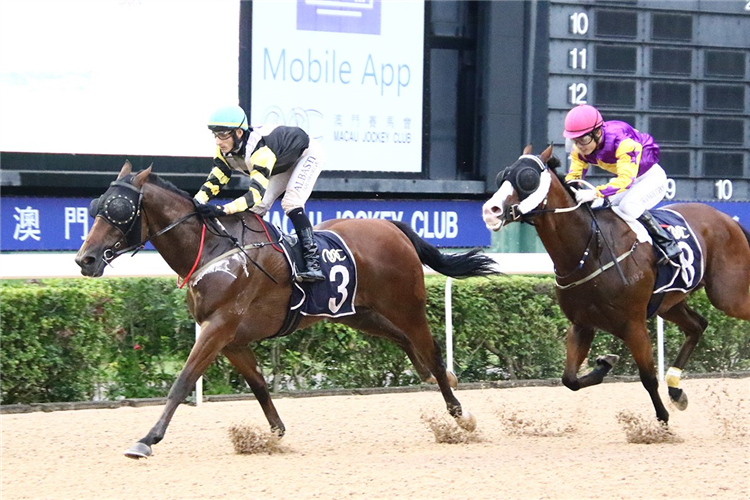 KELVIN'S CHOICE winning the THE PANYU