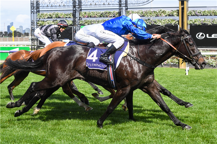 KEMENTARI winning the Gilgai Stakes at Flemington in Australia.