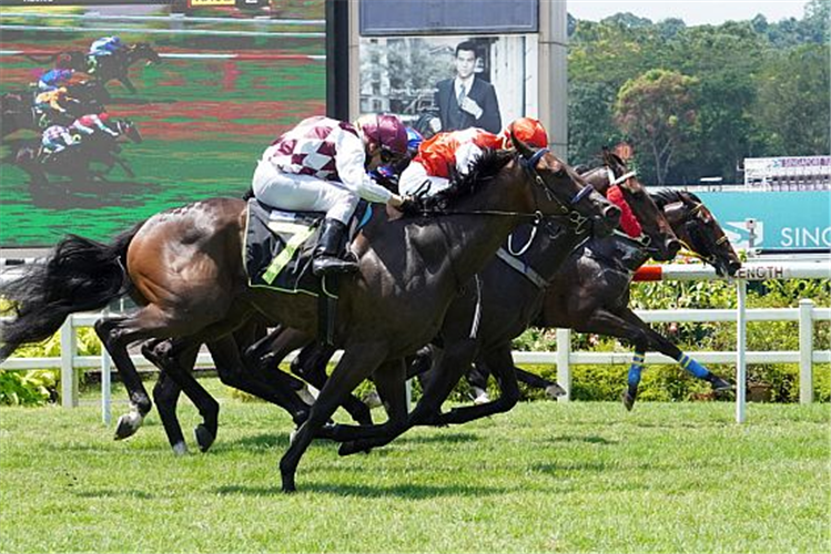 KHAO MANEE winning the SUN MARSHAL 2019 STAKES RESTRICTED MAIDEN