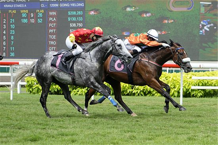 KHARISMA winning the KRANJI STAKES A