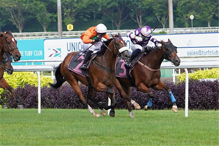 KHARISMA (outside) winning the BETTER LIFE 2012 STAKES CLASS 1