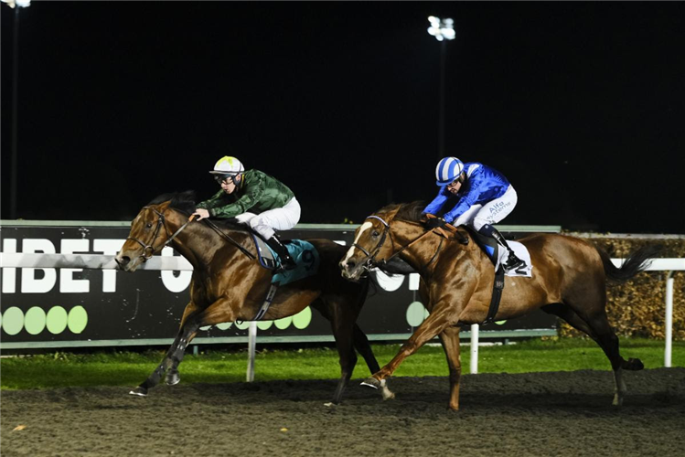 Khuzaam finishing second to Kinross in the Hyde Stakes at Kempton Park in November