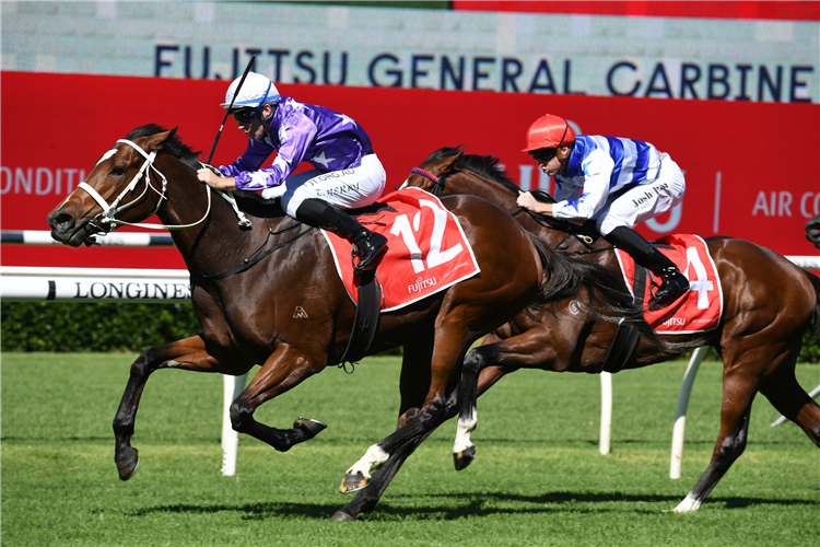 KIKU winning the Fujitsu General Carbine Club at Randwick in Australia.