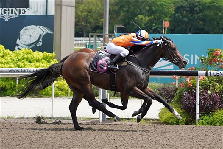 KING ARTHUR winning the SPALATO 2016 STAKES CLASS 4