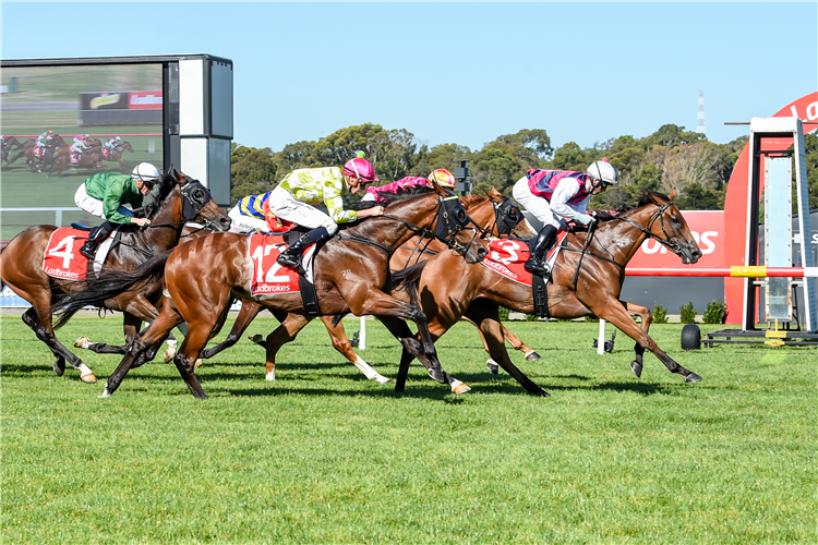 KING MAGNUS winning the MRC Members Hcp at Sandown Hillside in Australia.