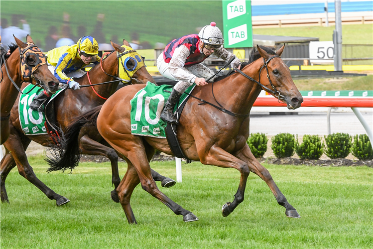 KING MAGNUS winning the Cranbourne Cup at Cranbourne in Australia.