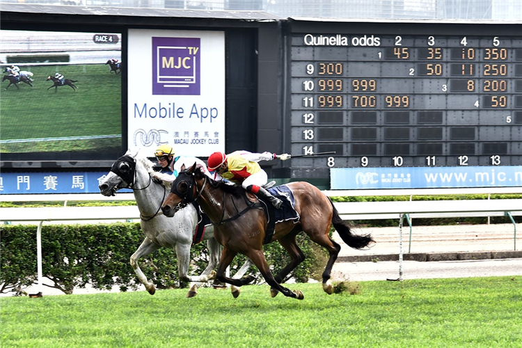 KING OF GLAMOUR (outside) winning the THE CHANGCHUN