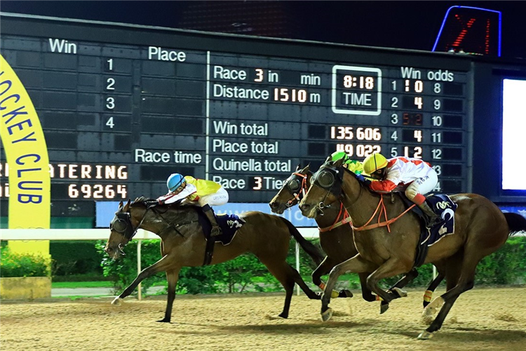 KING OF GLAMOUR winning the THE BANGALORE