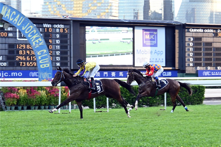 KINGDOM QI FENG winning the THE TEMPLO DA DEUSA A-MA (Div 1)