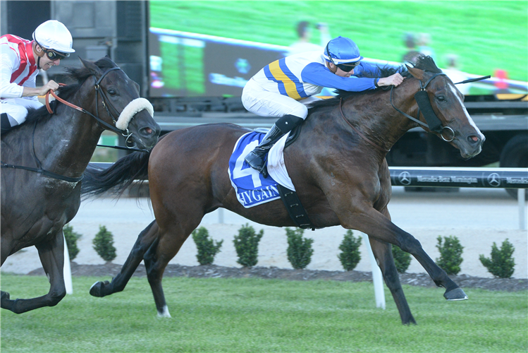 Knife's Edge Thoroughbred Horse Profile Next Race, Form, Stats, News, Breeding Racing and Sports