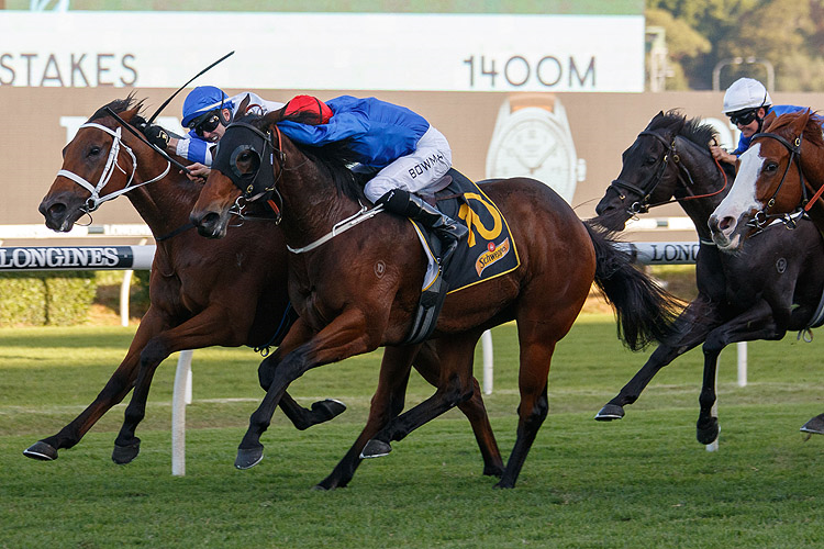 KOLDING winning the Schweppes All Aged Stakes