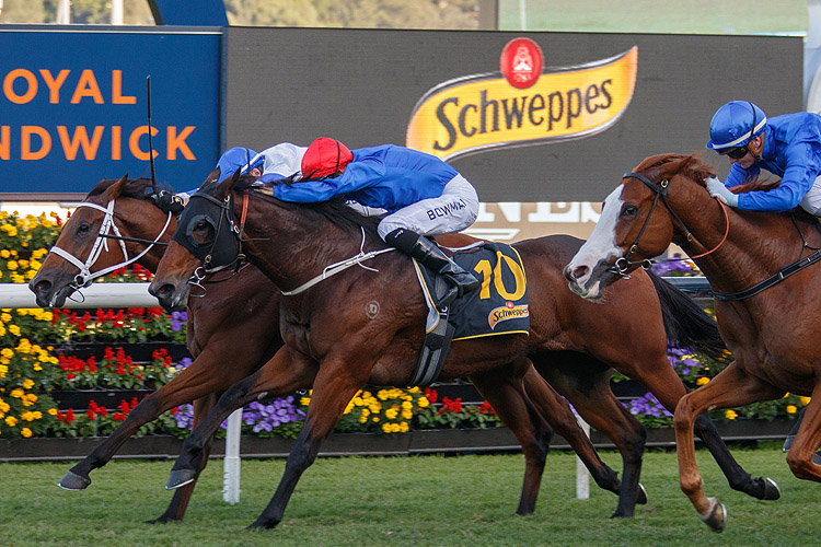 KOLDING winning the Schweppes All Aged Stakes