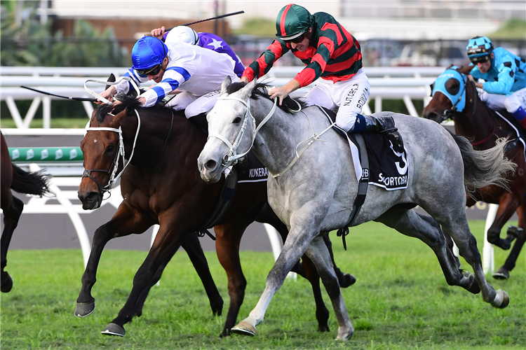 Kukeracha (white and blue silks) edges out Senor Toba in the Gr.1 Queensland Derby (2400m)