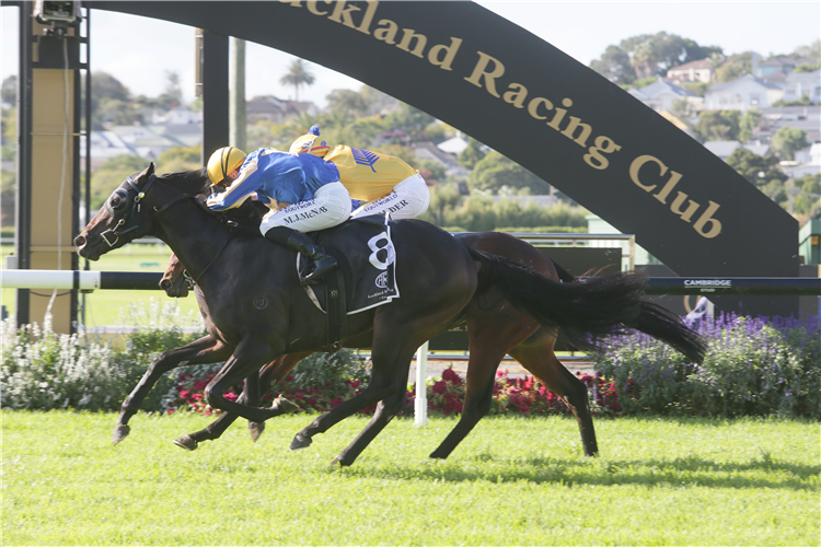 LADY MAROAL winning the Staphanos Champagne Stakes
