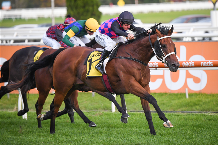 LAVERROD winning the VOBIS Gold Sprint at Caulfield in Australia.