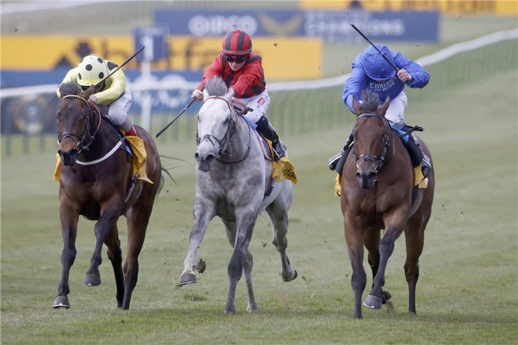 Lazuli and William Buick (blue) winning The Betfair Palace House Stakes
