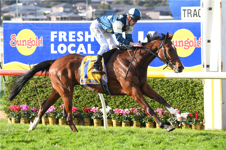 Le Don De Vie winning the Warrnambool Cup.