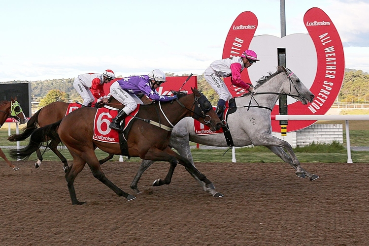 Lesnar (Dan Ganderton) wins the final race in Devonport on 11 April.