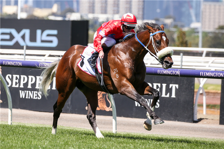 LIGHTSABER winning the Sires' Produce Stakes at Flemington in Australia.