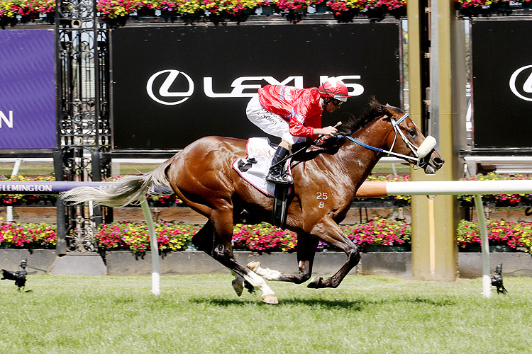 LIGHTSABER winning the Mss Security Sires' Produce