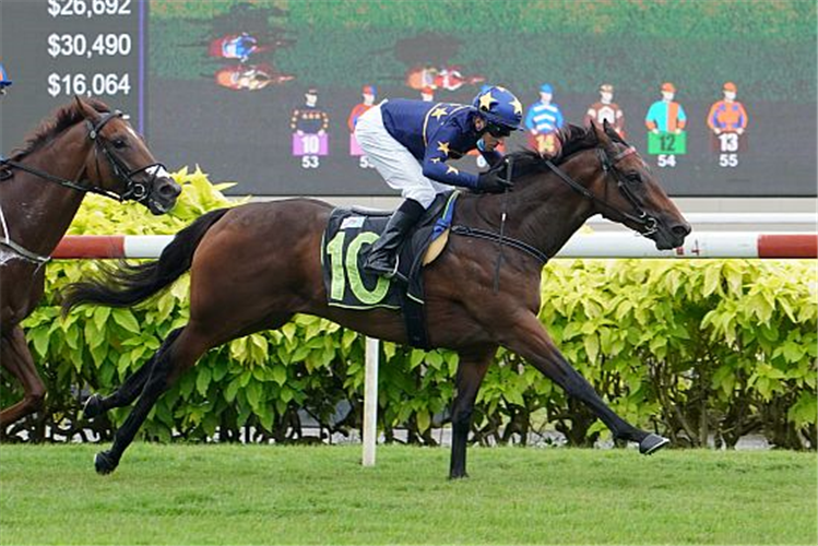 LIM'S KOSCIUSZKO winning the RESTRICTED MAIDEN