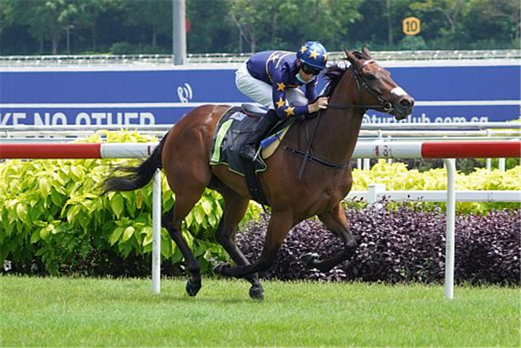 LIM'S KOSCIUSZKO winning the MR CLINT 2019 STAKES CLASS 4