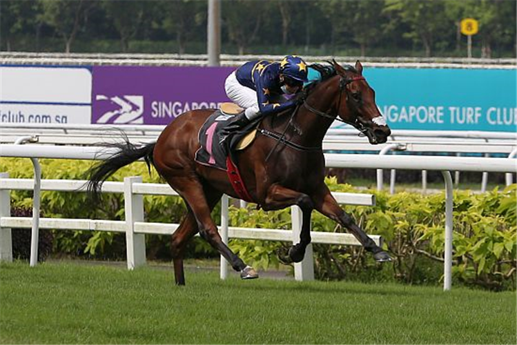 LIM'S LIGHTNING winning the KRANJI STAKES A