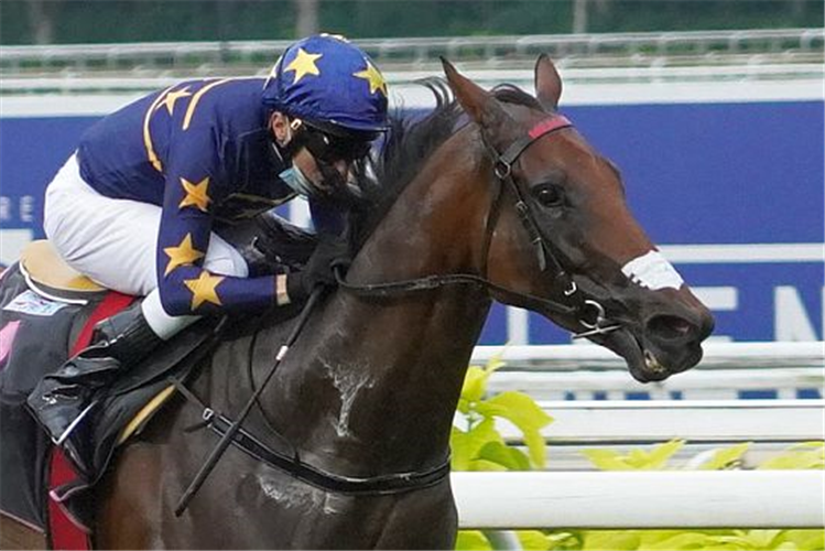 LIM'S LIGHTNING winning the KRANJI STAKES A