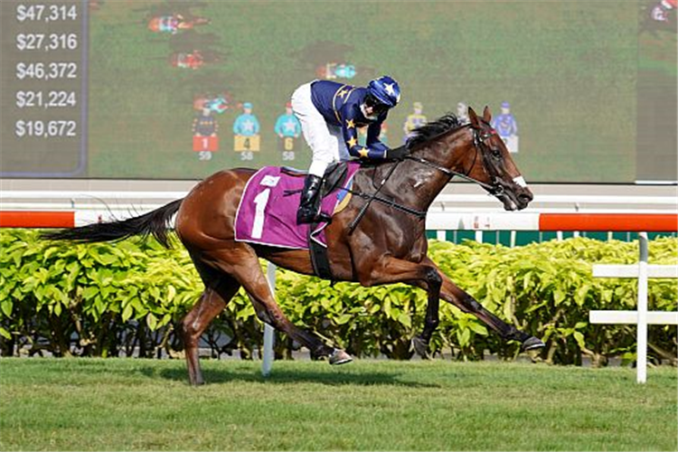 LIM'S LIGHTNING winning the RAFFLES CUP GROUP 1