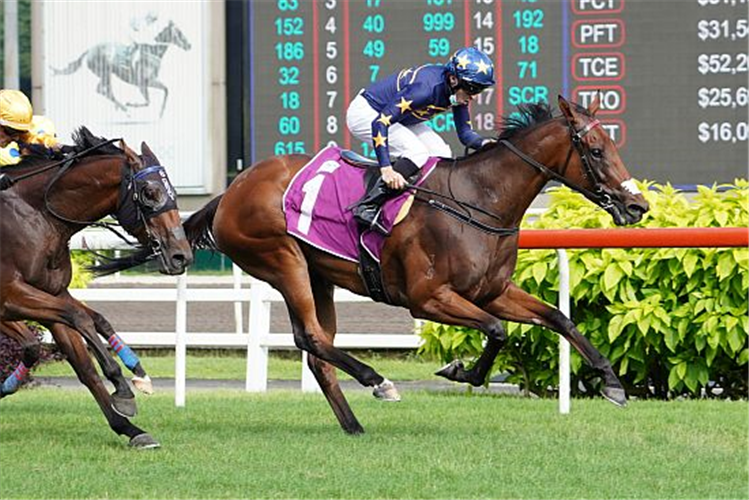 LIM'S LIGHTNING winning the SINGAPORE GOLD CUP GROUP 1