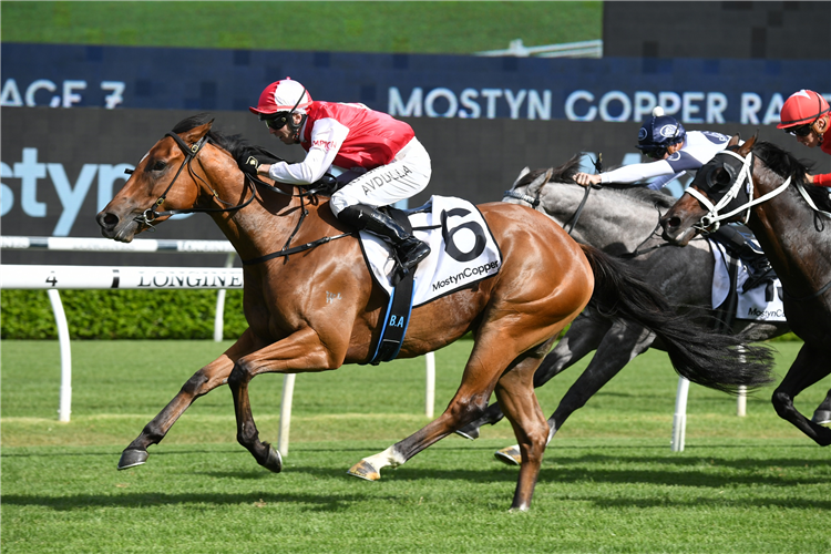 LION'S ROAR winning the Randwick Guineas at Randwick in Australia.