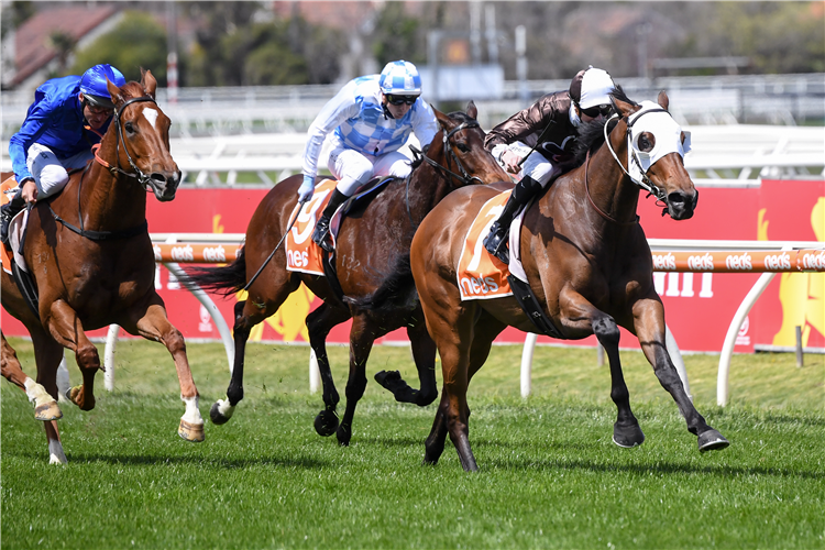 LOMBARDO winning the Village Stakes at Caulfield in Australia.