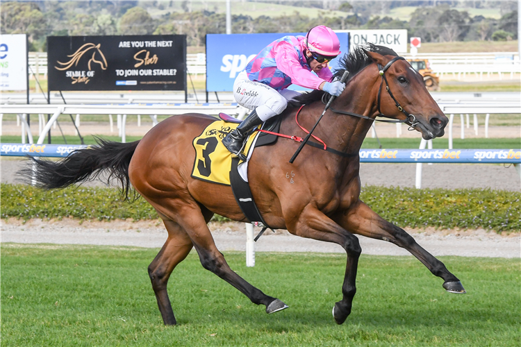 LOOKS LIKE ELVIS winning the Racing.Com Vobis Gold Bullion at Pakenham in Australia.