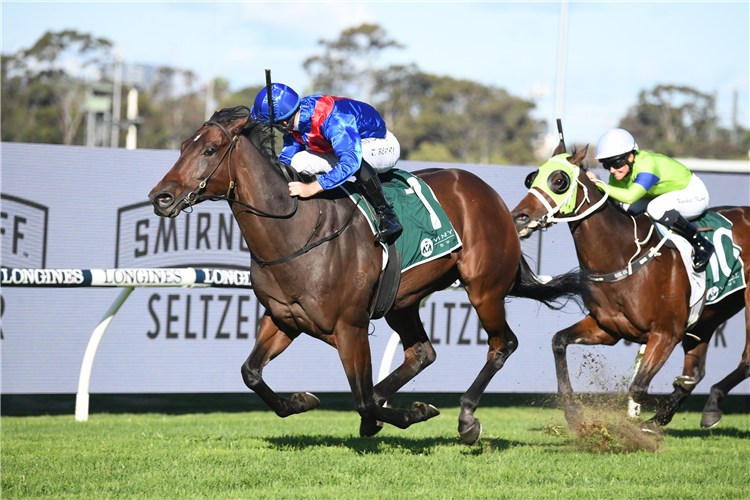 LOST AND RUNNING winning the Vinery Luskin Star Stakes at Rosehill in Australia.